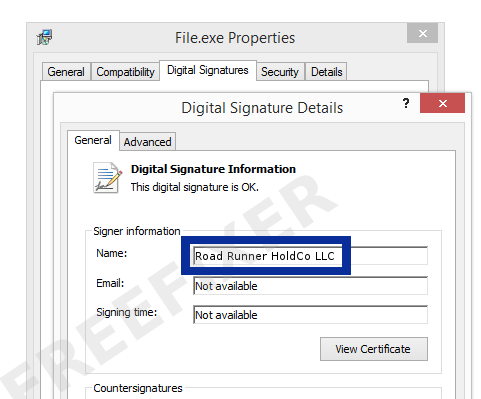 Screenshot of the Road Runner HoldCo LLC certificate